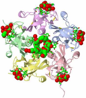 Image Asym./Biol. Unit - sites