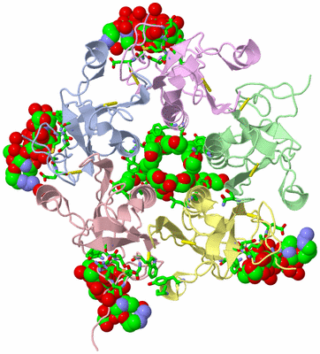 Image Asym./Biol. Unit - sites