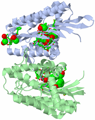 Image Asym./Biol. Unit - sites