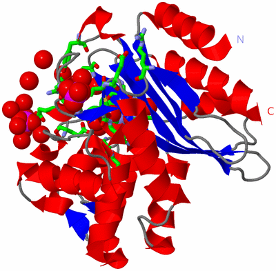 Image Asym./Biol. Unit - sites