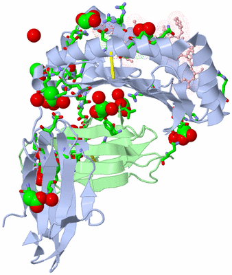 Image Asym./Biol. Unit - sites