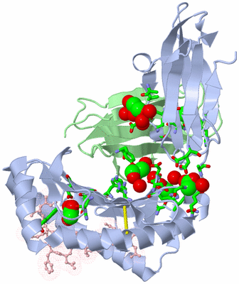 Image Asym./Biol. Unit - sites