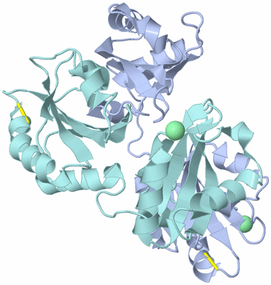 Image Biological Unit 1