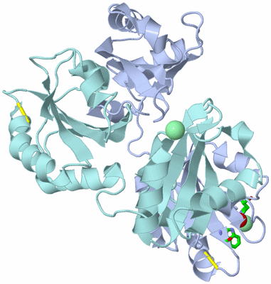 Image Biol. Unit 1 - sites