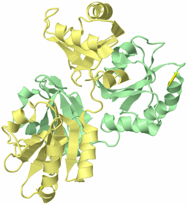 Image Biological Unit 2