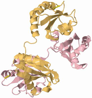 Image Biological Unit 3