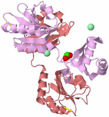 Image Biological Unit 4