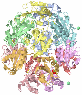 Image Biological Unit 5