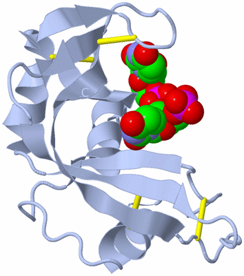 Image Biological Unit 1