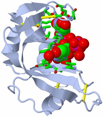 Image Biol. Unit 1 - sites