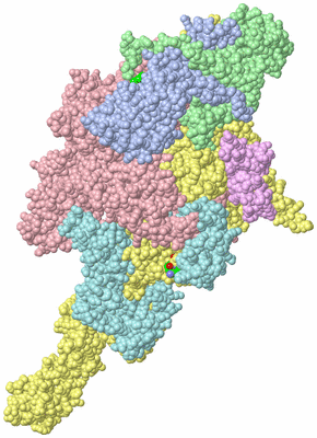 Image Biol. Unit 1 - sites