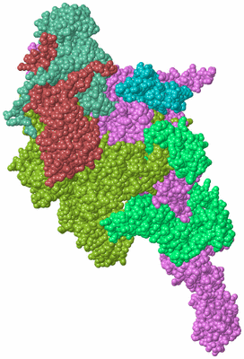 Image Biological Unit 2