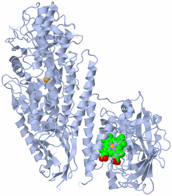 Image Biological Unit 1