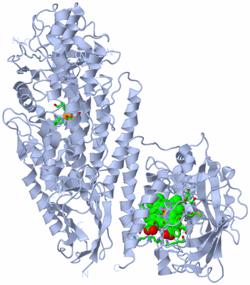 Image Biol. Unit 1 - sites