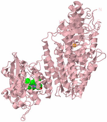 Image Biological Unit 2