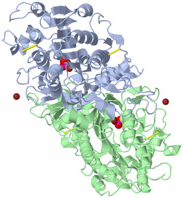 Image Asym./Biol. Unit