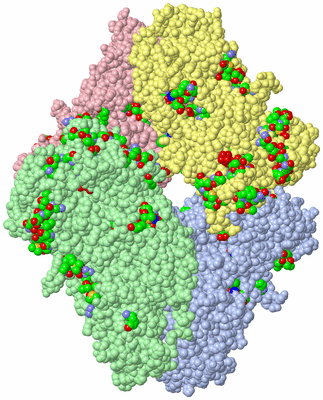 Image Asym./Biol. Unit - sites