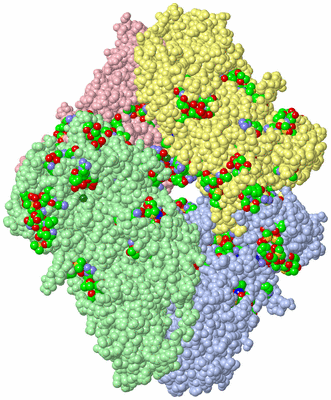 Image Asym./Biol. Unit - sites