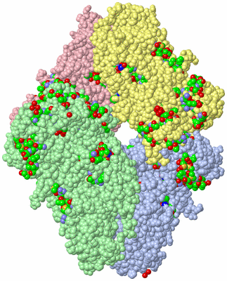 Image Asym./Biol. Unit - sites