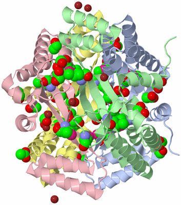 Image Asym./Biol. Unit