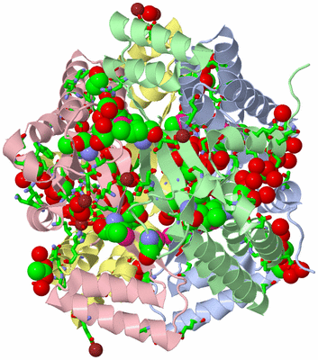 Image Asym./Biol. Unit - sites