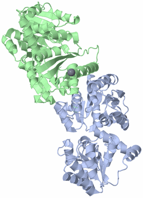 Image Asym./Biol. Unit