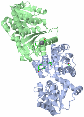 Image Asym./Biol. Unit - sites