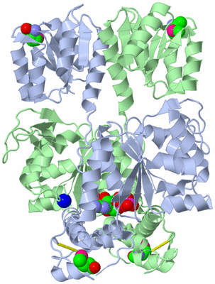 Image Asym./Biol. Unit