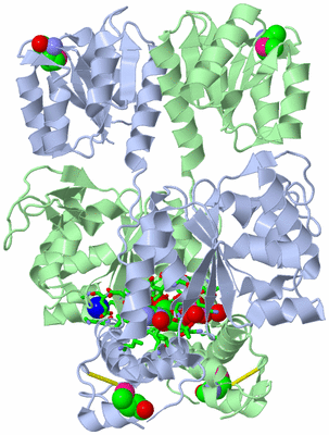 Image Asym./Biol. Unit - sites