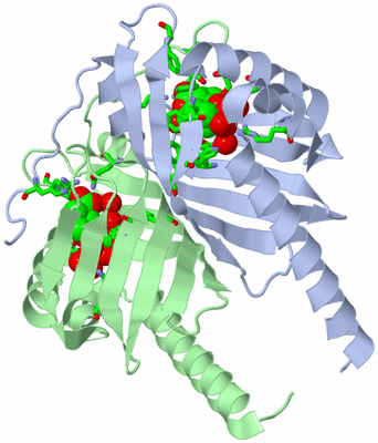 Image Asym./Biol. Unit - sites