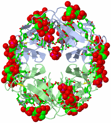 Image Biol. Unit 1 - sites