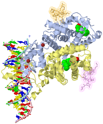 Image Asym./Biol. Unit