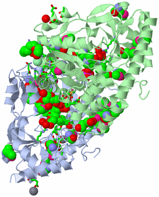 Image Asym./Biol. Unit - sites