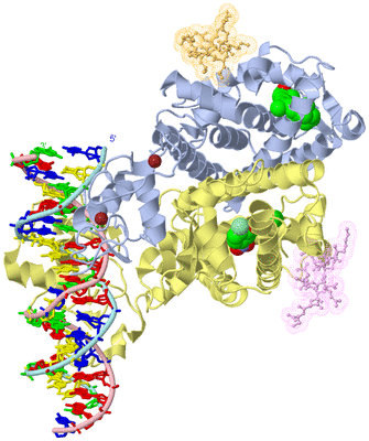 Image Asym./Biol. Unit