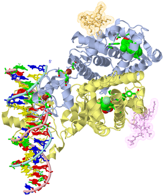 Image Asym./Biol. Unit - sites