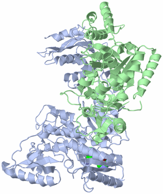 Image Asym./Biol. Unit