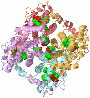 Image Biological Unit 2