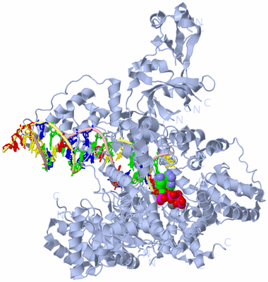 Image Biological Unit 1