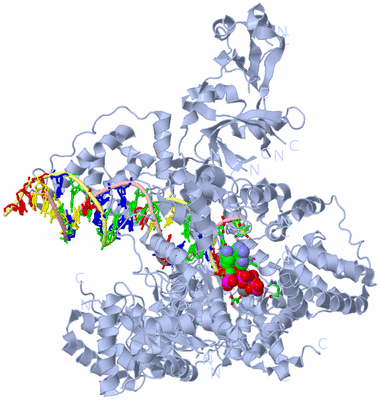 Image Biol. Unit 1 - sites