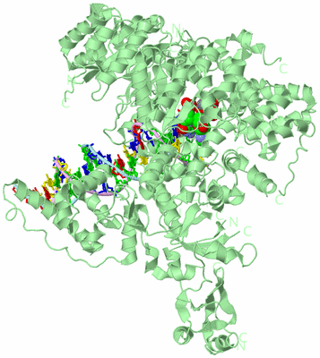 Image Biological Unit 2