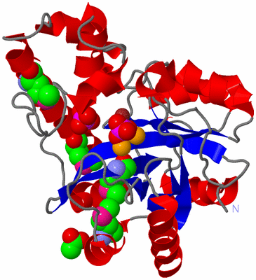 Image Asym./Biol. Unit