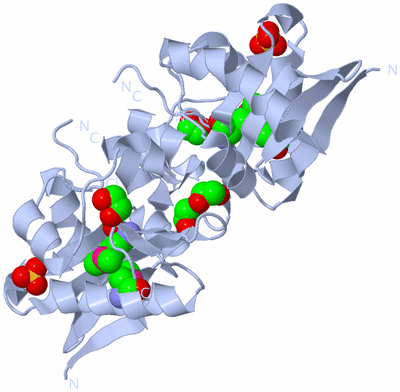 Image Biological Unit 1