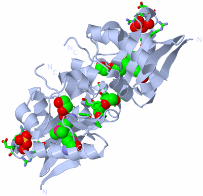 Image Biol. Unit 1 - sites