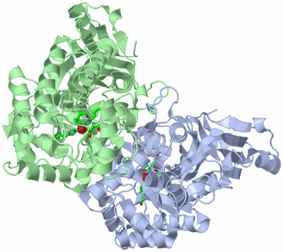 Image Asym./Biol. Unit - sites