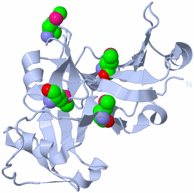 Image Biological Unit 1