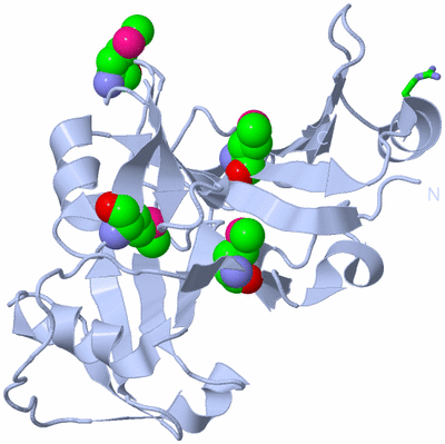 Image Biol. Unit 1 - sites