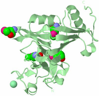 Image Biological Unit 2