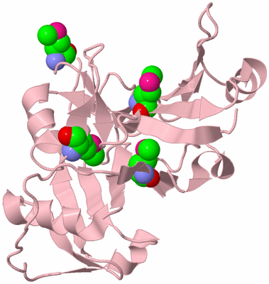 Image Biological Unit 3