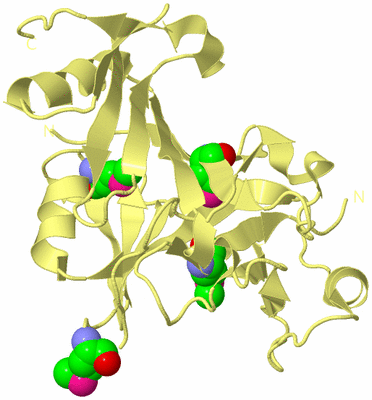 Image Biological Unit 4