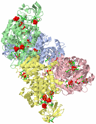 Image Biol. Unit 1 - sites